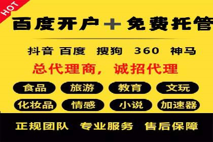 行业领先企业的SEM推广代运营实战经验